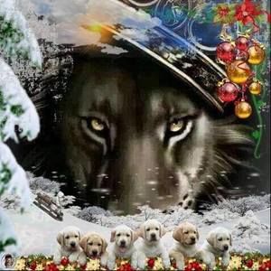 Meet your Posher, Tim